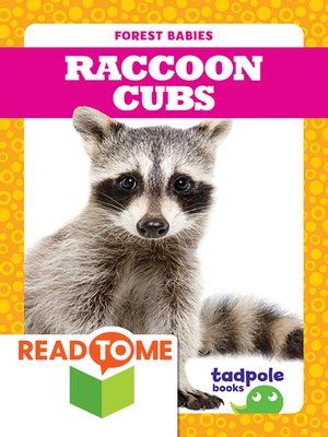 cover image of Raccoon Cubs